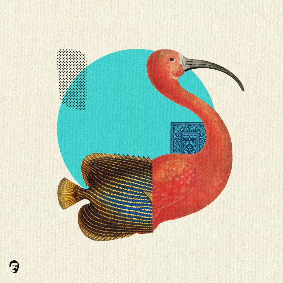 collage_2026_07