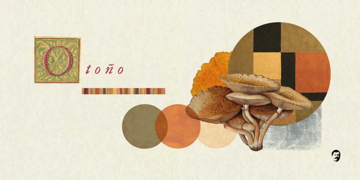 Jose Azorín ilustración y diseño gráfico